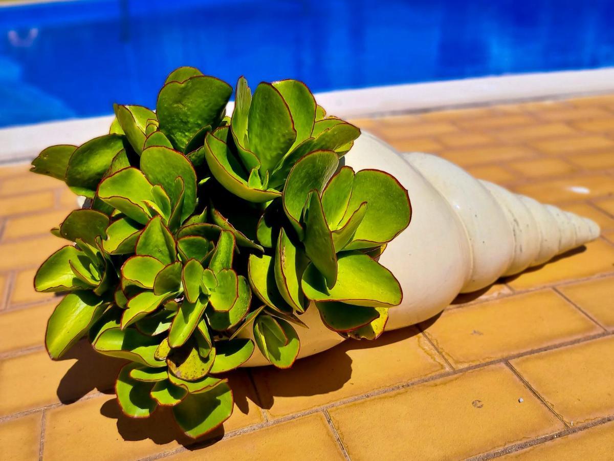 Flh Vilamoura Summer Apartment With Pool 외부 사진
